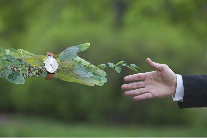 Humankind Used A Year’s Worth Of Resources In The Past Seven Months - It’s Time To Get A Wooden Watch